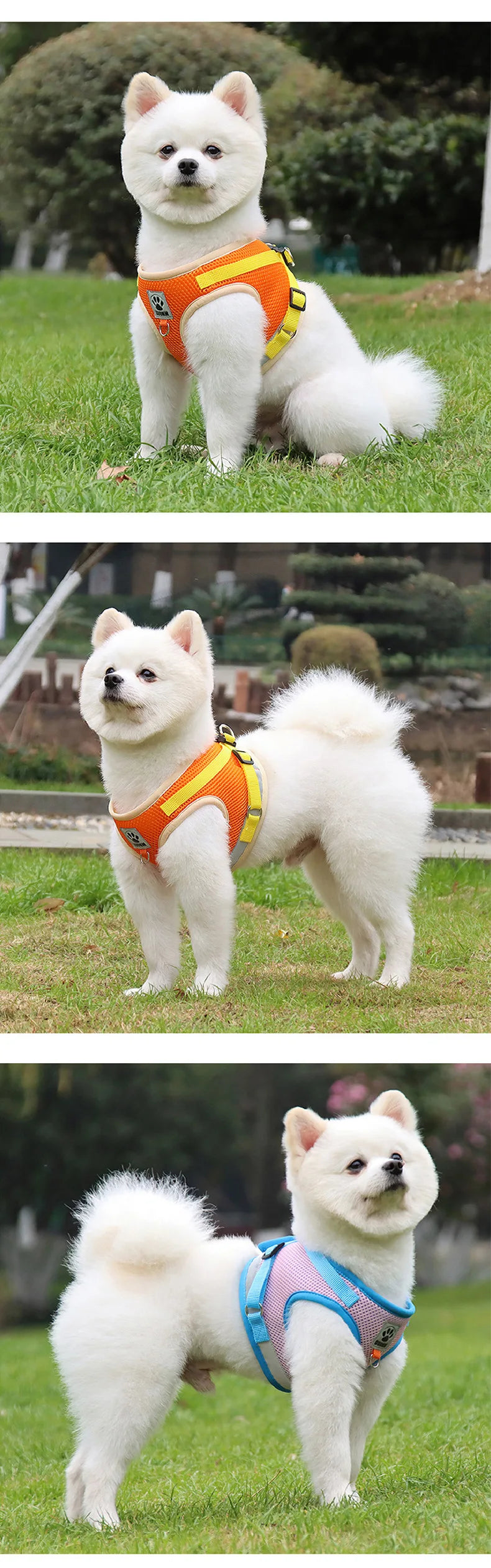 Puppy Dog Harness Leash Rope Set Breathable Summer Mesh Cat Dogs Harness Vest Reflective Pet Cat Chest Straps Chihuahua Yorkies