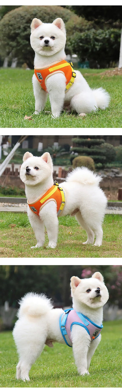 Puppy Dog Harness Leash Rope Set Breathable Summer Mesh Cat Dogs Harness Vest Reflective Pet Cat Chest Straps Chihuahua Yorkies