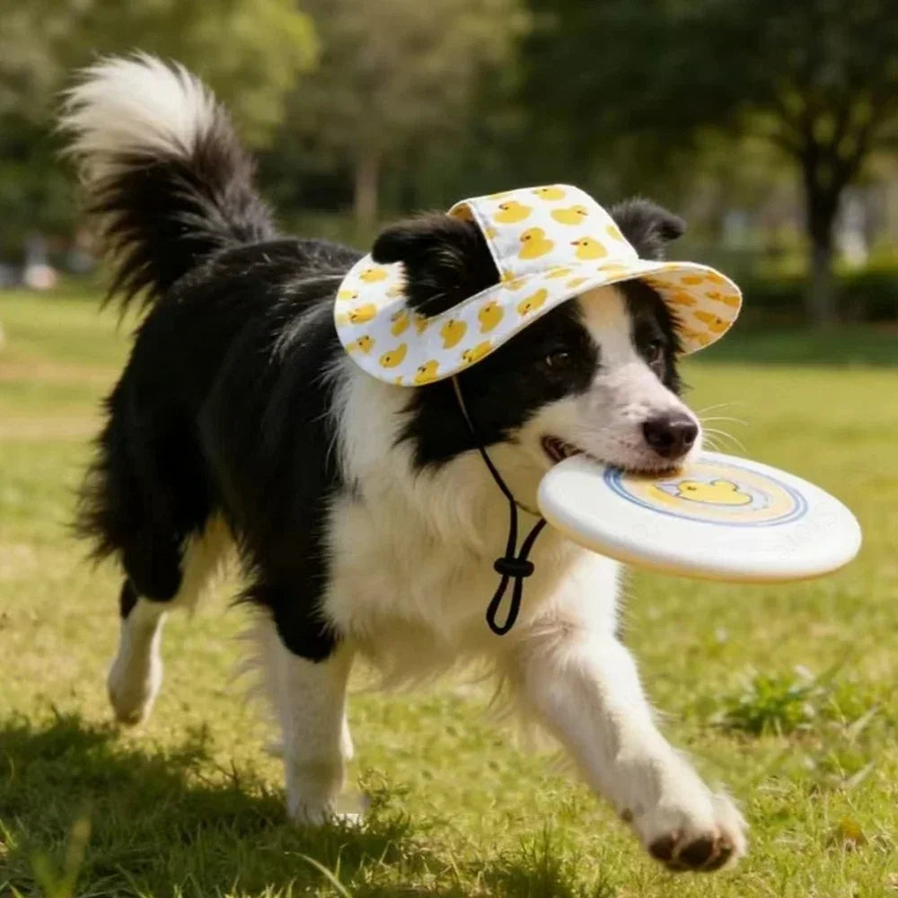 Printed Pet Dog Hat Adjustable Cap for Small Medium Puppy Dogs Pug Corgi Dachshund Outdoor Walking Photo Party Costume Accessory