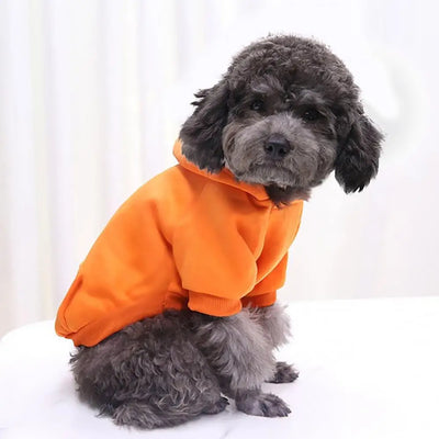 Puppy Hoodie Autumn Winter Pet Hooded Sweatshirt Two-legged Pocket Cat Dog Clothes