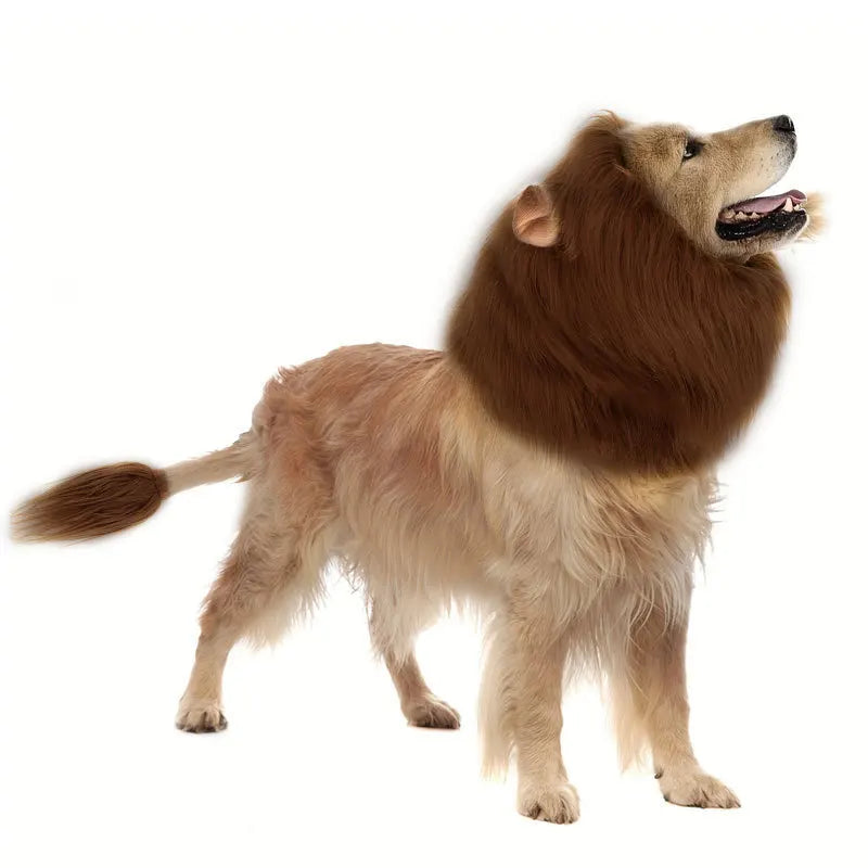 Dog Lion Mane Costume with Ears Funny Plush Headpiece for Pet Halloween Party and Daily Dress Up