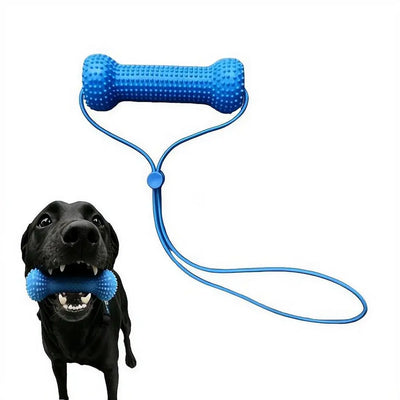 Dual-Action Canine Dental Prop Reusable Dental Chews For Dogs Interactive Dog Dental Chew Toy For Teeth Cleaning Brushing