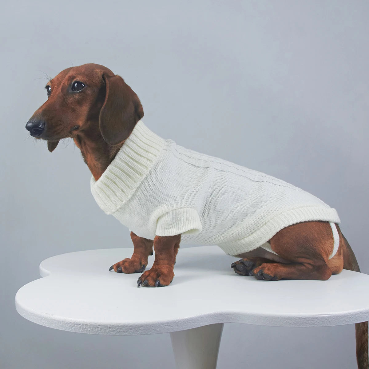 Elegant WarmTurtleneck Sweater for Miniaturedachshund Soft Knitted Sweater for Wiener Dogs Solid Color Sweatshirt for Badger Dog