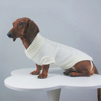 Elegant WarmTurtleneck Sweater for Miniaturedachshund Soft Knitted Sweater for Wiener Dogs Solid Color Sweatshirt for Badger Dog