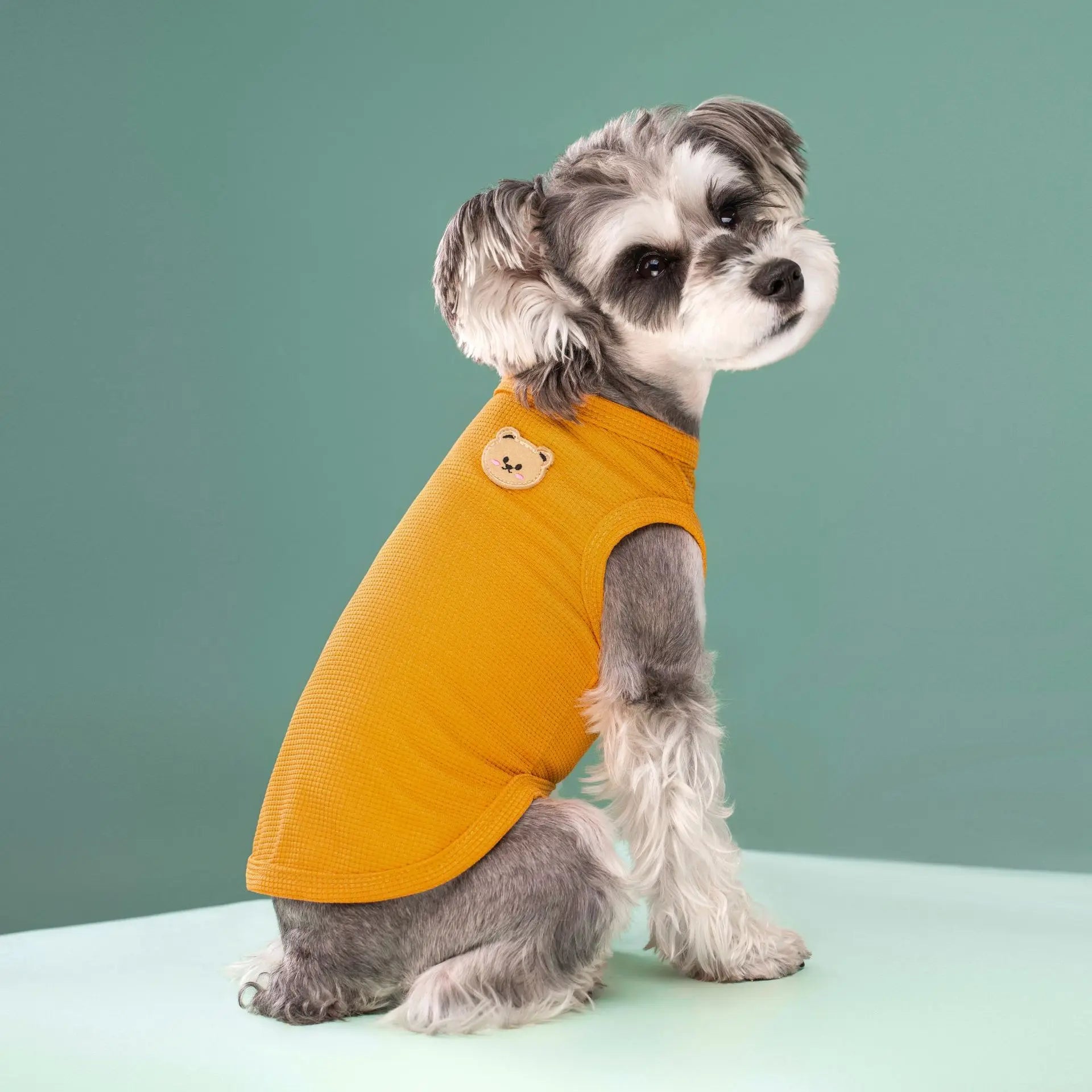 NewSpring Summer Pet Clothes for Cats Dogs Breathable Waffle Vest, Soft & Light, Perfect for Teddy Bichon Frise Small Medium Dog