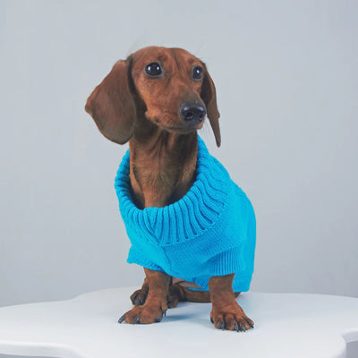 Elegant WarmTurtleneck Sweater for Miniaturedachshund Soft Knitted Sweater for Wiener Dogs Solid Color Sweatshirt for Badger Dog