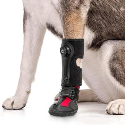 Drops Foot Brace No Knuckling Boot Brace For Dog Corrective Dog Shoes To Safely Lift Toes Hard Anti-Skid Sole Paw Protection