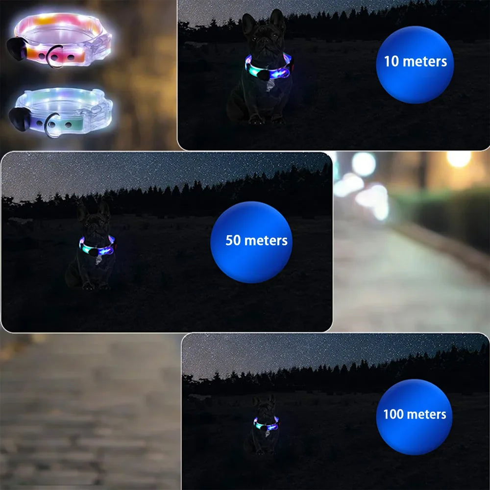 Pet Light-up Collar Leash LED Flashing Collar USB Charging Dog Walking Pulling Belt Adjustable Dog Collar Anti-Lost Pet Supplies