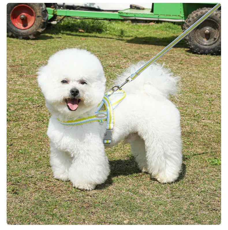 Dog Harness Collar Accessories Small Pet Neck Belt Lead Leash for Small  Dogs Collars  Breast Strap Puppy Adjustable Walking