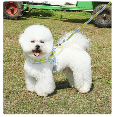 Dog Harness Collar Accessories Small Pet Neck Belt Lead Leash for Small  Dogs Collars  Breast Strap Puppy Adjustable Walking