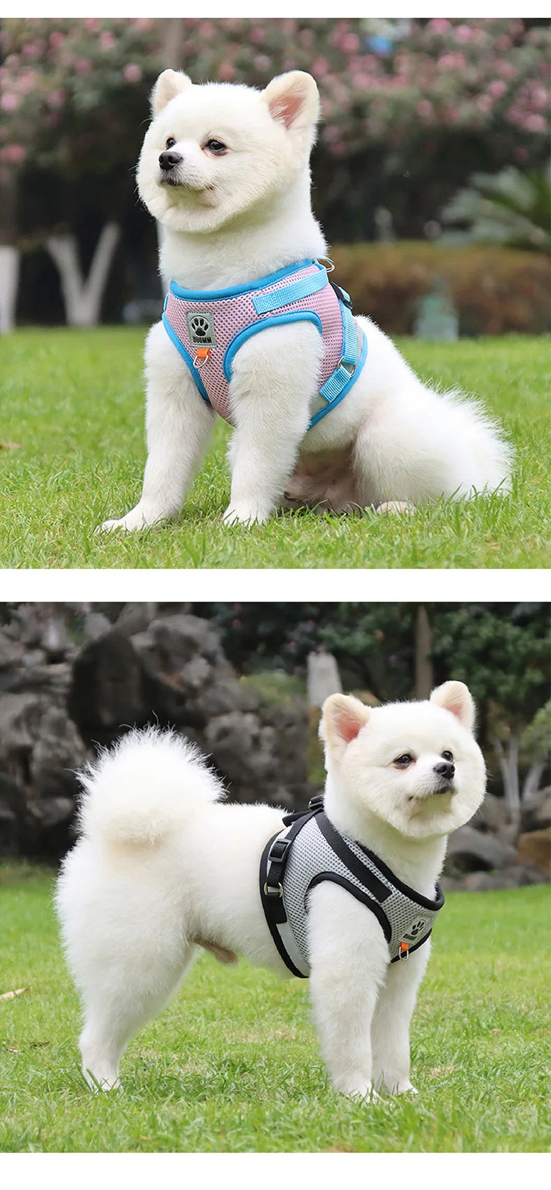 Puppy Dog Harness Leash Rope Set Breathable Summer Mesh Cat Dogs Harness Vest Reflective Pet Cat Chest Straps Chihuahua Yorkies