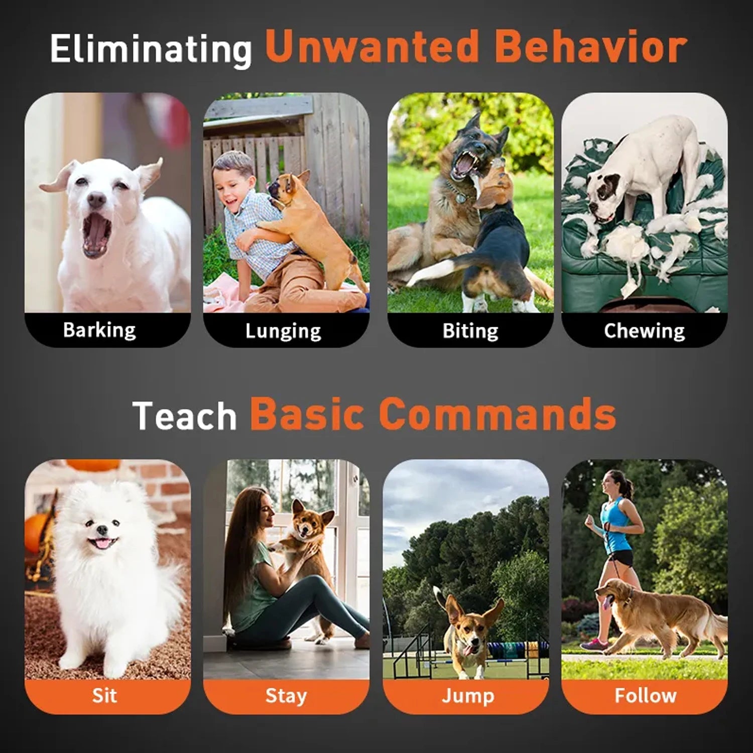 Dog Training Collar with Remote 1000m,Dog Shock Collar With 4 Training Modes,Rechargeable&IPX7 Waterproof For Medium Large Dogs