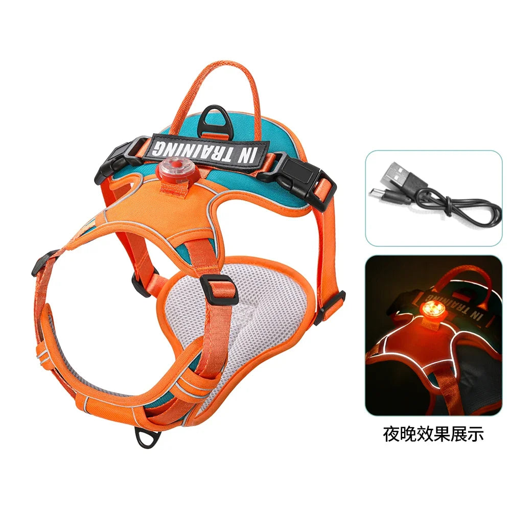 USB charged light Dog Harness Personalized dog strap vest Breathable adjustable pet strap suitable for small to medium sized dog