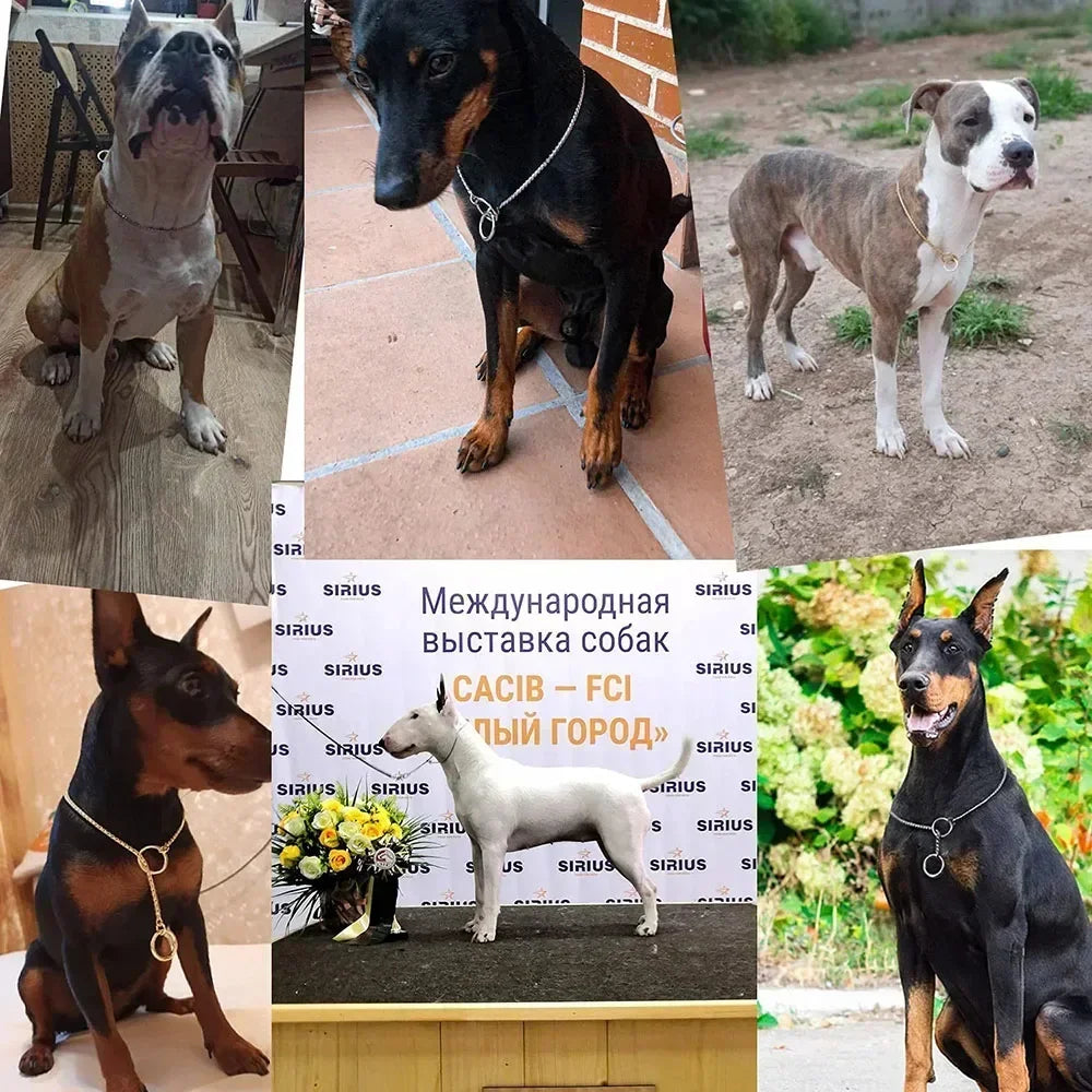 Stainless Steel Dog Choke Chain Collar Puppy Metal Snake Chain Pet Show Slip Collar Choker for Training Small Medium Large Dogs