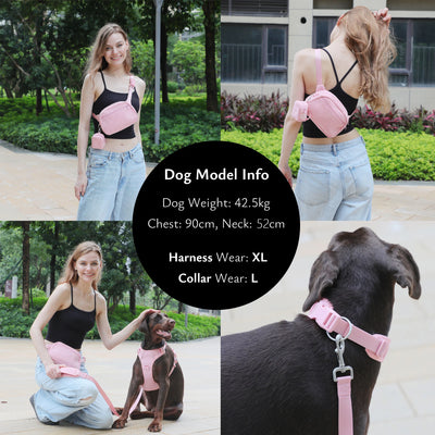 Personalized Dog Harness Set Luxury Designer Custom Dog Collar Leash Poop Bag with Walking Bag Reflective No Pull Harness Vest