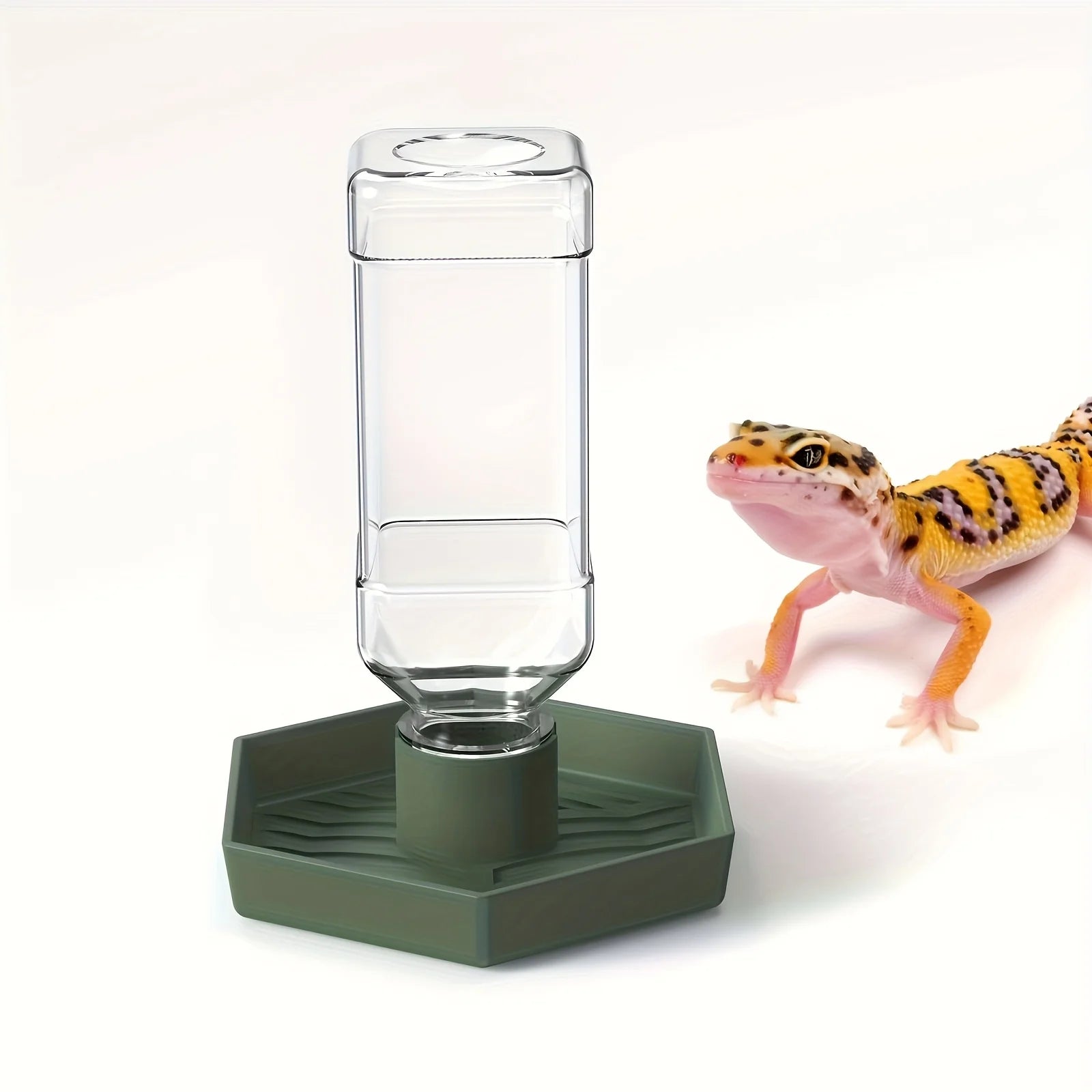 1pc Pet Automatic Feeders Waterer For Small Repitiles Lizards Gecko Chameleon Frog Snake Turtle Spider Feeding Supplies