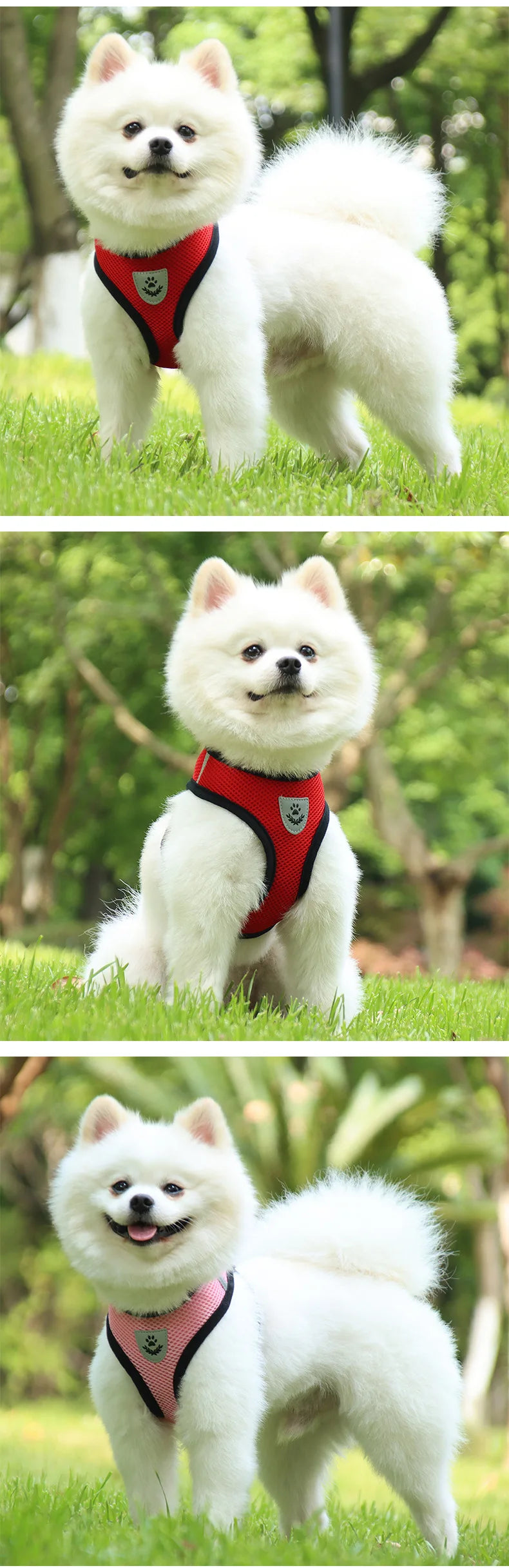 Small Dog Harness and Leash Set Summer Puppy Breathable Mesh Reflective Cat No Pull  Dog Reflective  Adjustable Pet Vest Style
