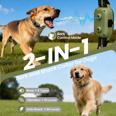 Electric Dog Training Collar 1Km Range With Remote Control Rechargeable Shock/Vibration/Sound Auto Modes Waterproof for Dog Size
